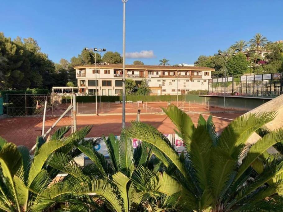 La Casa De Las Palmeras Muntanya la Sella Dış mekan fotoğraf
